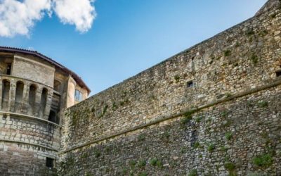 Dalla conservazione alla condivisone